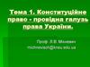 Конституційне право України