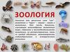 Зоология