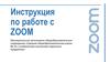 Инструкция по работе с ZOOM