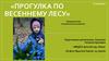 «Прогулка по весеннему лесу»