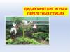Перелетные птицы  (дидактические игры)
