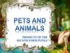 Pets and animals