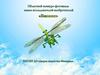 Областной конкурс-фестиваль юных исследователей-изобретателей «Бионик»