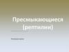 Пресмыкающиеся (рептилии.)