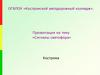 «Сигналы светофора»