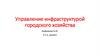 Управление инфраструктурой городского хозяйства