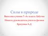 Силы в природе