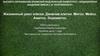 Жизненный цикл клетки. Деление клетки. Митоз. Мейоз. Амитоз. Эндомитоз