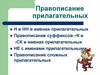 Правописание прилагательных