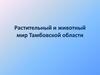 Растительный и животный мир Тамбовской области