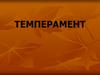Темперамент