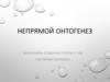 Непрямой онтогенез