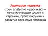 Анатомия человека