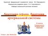Сердце. Артериальная система человека