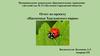 Отчет по проекту «Насекомые Хвалынского парка» "Пчёлка"