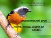 Экологический урок «Пойте, птицы, земли во славу!»