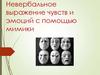 Невербальное выражение чувств и эмоций с помощью мимики