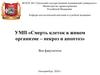 Смерть клеток в живом организме – некроз и апоптоз