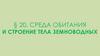 Среда обитания и строение тела земноводных