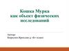 Кошка Мурка как объект физических исследований