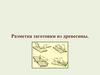 Разметка заготовки из древесины