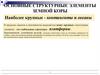 Основные структурные элементы земной коры