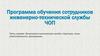 Инженерно-техническая служба: структура, зоны ответственности, функциона