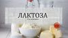 Лактоза и её компания