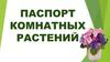Паспорт комнатных растений