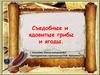 Съедобные и ядовитые грибы и ягоды