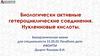 Биологически активные гетероциклические соединения. Нуклеиновые кислоты