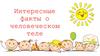 Интересные факты о человеческом теле