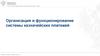 Организация и функционирование системы казначейских платежей