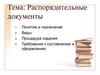 Распорядительные документы