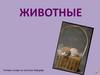Животные. Читаем слова по системе Зайцева