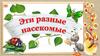 Игра "Эти разные насекомые"