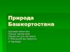 Природа Башкортостана