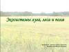 Экосистемы луга, леса и поля