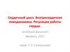 Сердечный цикл. Внутрисердечная гемодинамика. Регуляция работы сердца