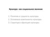 Культура, как социальное явление