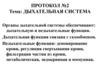 Дыхательная система. Тема 2