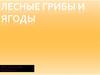 Лесные грибы и ягоды