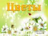 Логопедические упражнения. Цветы
