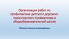 Организация работ по профилактике детского дорожно-транспортного травматизма в общеобразовательной школе