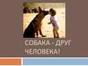 Собака - друг человека!