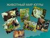 Животный мир Югры