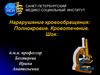 Нарарушение кровообращения: Полнокровие. Кровотечение. Шок