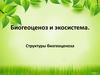 Биогеоценоз и экосистема. Структуры биогеоценоза