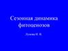 Сезонная динамика фитоценозов