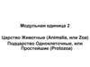 Царство Животные (Animalia, или Zoa) Подцарство Одноклеточные, или Простейшие (Protozoa)